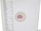 Just Another Ahole LP NO WAVE Glenn Branca SONIC YOUTH+