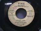 DICKIE  DICKEY GARLAND THE RIALTORS ROCKABILLY  PIKE 45