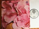 STILL LIFE GERMAN VERTIGO SWIRL ORIG MINT PROG LP