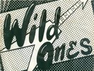 WILD ONES/DOLL REYS - RARE NYC PUNK/POWERPOP 45 HEAR