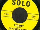 JESTERS OF NEWPORT Stormy 7