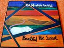 MOUNTAIN GOATS Beautiful Rat Sunset 10