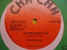 Never forget jah / Peter Broggs rare orig. roots 12