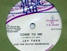 JAY TEES / JACKIE MITTOO Music Lab 10