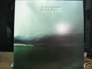 Modest Mouse / The Fruit That Ate Itself / LP / Shins