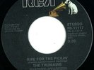 The Trumains : RARE 70's / Sweet Soul 45 on RCA