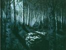 BURZUM hlidskjalf GOLDEN VINYL LP 1st edition+extras