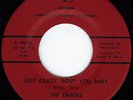 Embers -Just Crazy 'Bout U Baby - Northern Soul - Beach