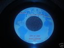 Rockabilly 45/ Hayden Thompson 