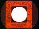 Canada Garage Punk Fuzz 45-JAY TELFER (A Passing Fancy)