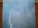 Wolves In The Throne Room - Diadem of 12 Stars 2LP