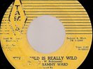 R&B / NORTHERN SOUL- SINGIN' SAMMY WARD- TAMLA- LISTEN