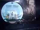 THE BEATLES HELLO GOODBYE  PICTURE DISC PLAYS MINT 
