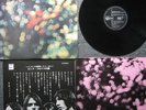 PINK FLOYD LP 
