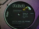 TENDERNESS - GOTTA KEEP ON TRYING - DISCO SOUL *LISTEN*