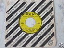 Orig ' 60 EPIC 45 THE DANLEERS If You Don't Care #9367