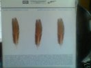Appleseed Cast Low Level Owl V. I & II 3 LP Black Vinyl