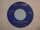 THE SOUNDS LIKE US : Clock on the Wall Garage 45 LISTEN