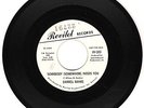DARREL BANKS SOMEBODY SOMEWHERE WDJ - DETROIT ORIG