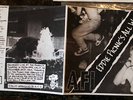 AFI Eddie Picnic's All Wet 7