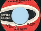 PECK'S BAD BOYS Very Rare 1966 NY Garage Punk HOT