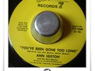 Ann Sexton You've Been Gone NORTHERN SOUL great HEAR 45