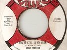 STEVE MANCHA YOURE STILL IN MY HEART NORTHERN SOUL hear