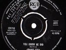 YOU KNOW HE DID JOHNNY VEEN/CHARADES '65 OZ GARAGE PUNK