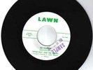 RARE DOO WOP 45 - Little Guy & Giants on Lawn 103