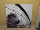 Pearl Jam, VS.   Original 1993 Epic GF Vinyl NM LP