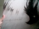Ashes Against The Grain Black Vinyl
