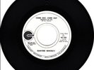 RAINTREE MINORITY come out MOD DANCER FUZZ PSYCH 45