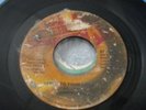 EXECUTIVE JAM I'm Into Your Love THIRD ST MODERN MP3