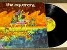 AQUARIANS-Jungle Grass LP-RARE PSYCH JAZZ-ORIG UNI-Hear