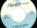 Vontastics : RARE Northern Soul 45 on Satelite