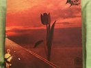 PRETTY THINGS Parachute 1st press LP Near Mint NOT RI