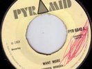 DERRICK MORGAN/SKINHEAD REGGAE/PYRAMID PYR6040/1968..EX