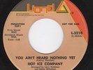 Hot Ice Company-You Ain't Heard Nothing-Funk 45-Listen