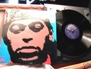 ARCHIE SHEPP CORAL ROCK JAZZ  MINT LP RECORD