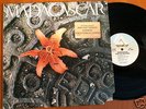 Madagascar, Spirit of the street   RARE LP, US 81, Hear