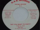 THE N. CEE   Say You Want to Party   RARE FUNK 45 hear