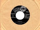 FR QUEBEC 1960'S ROCK 45 RPM LES HOU-LOPS : TJOELALA