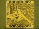 *DANDELIONS PRIVATE FOLK POP LP 1971 RARE AMAZING*
