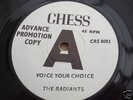 THE RADIANTS- VOICE YOUR CHOICE 7