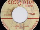 TERMITES - MAMA DIDN'T KNOW + BEACH BOY Coxsone  LISTEN