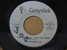 THE BLENDERS LTD. You Got It All... DEEP FUNK/BREAKS 45