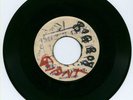 SKA C&N BLANK LEE KING PERRY  SKATALITES GAYLADS listen