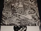 ABIGAIL / SYPHILITIC VAGINAS - Split LP - GISM - ZOUO
