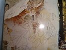 Led Zeppelin. Signed. Autographed. By all 4.Inc John.LP