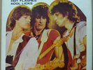 ROLLING STONES DOUBLE LP Hot Flashes Kool Licks